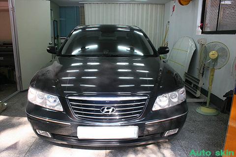 090403_autoskin185329.jpg