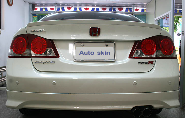 090409_autoskin182402.jpg