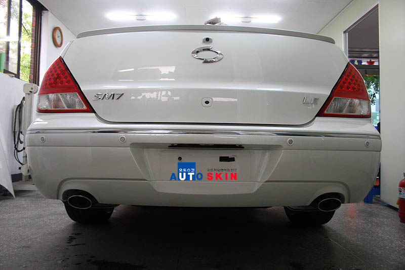 090409_autoskin184459.jpg