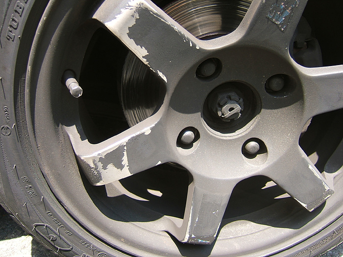 090604_autoskin105037.jpg