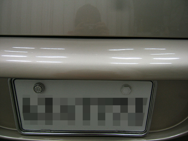 100126_autoskin100211(1).jpg
