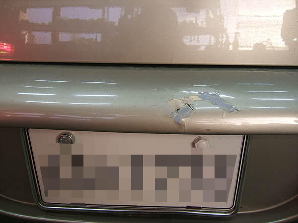 100126_autoskin100211.jpg